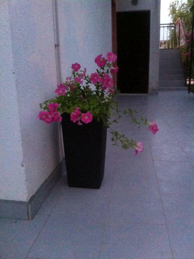 Apartmani Jadranka 沃迪切 外观 照片